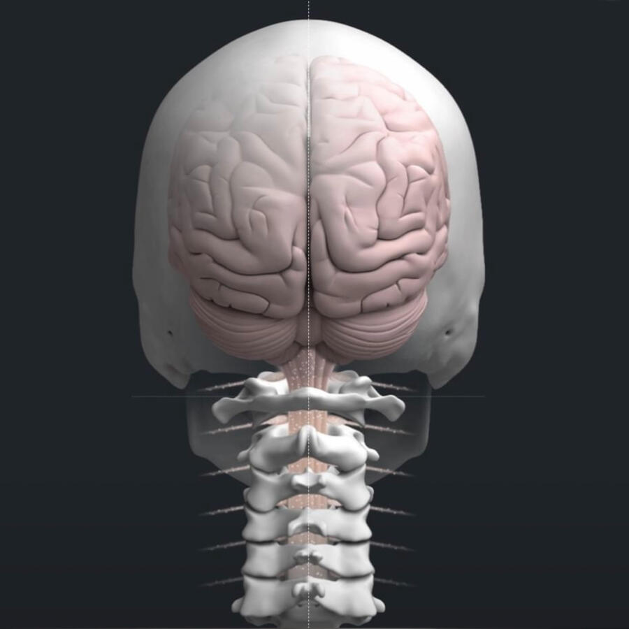 Dr. Ryan Hetland | Chiropractor | Inver Grove Heights, MN Dr. Ryan Hetland | Chiropractor | Inver Grove Heights, MN
